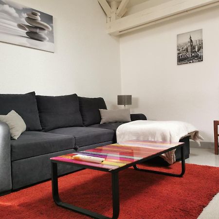Appartement A 2 Minutes Du Centre Ville Avec Climatisation 佩里格 外观 照片